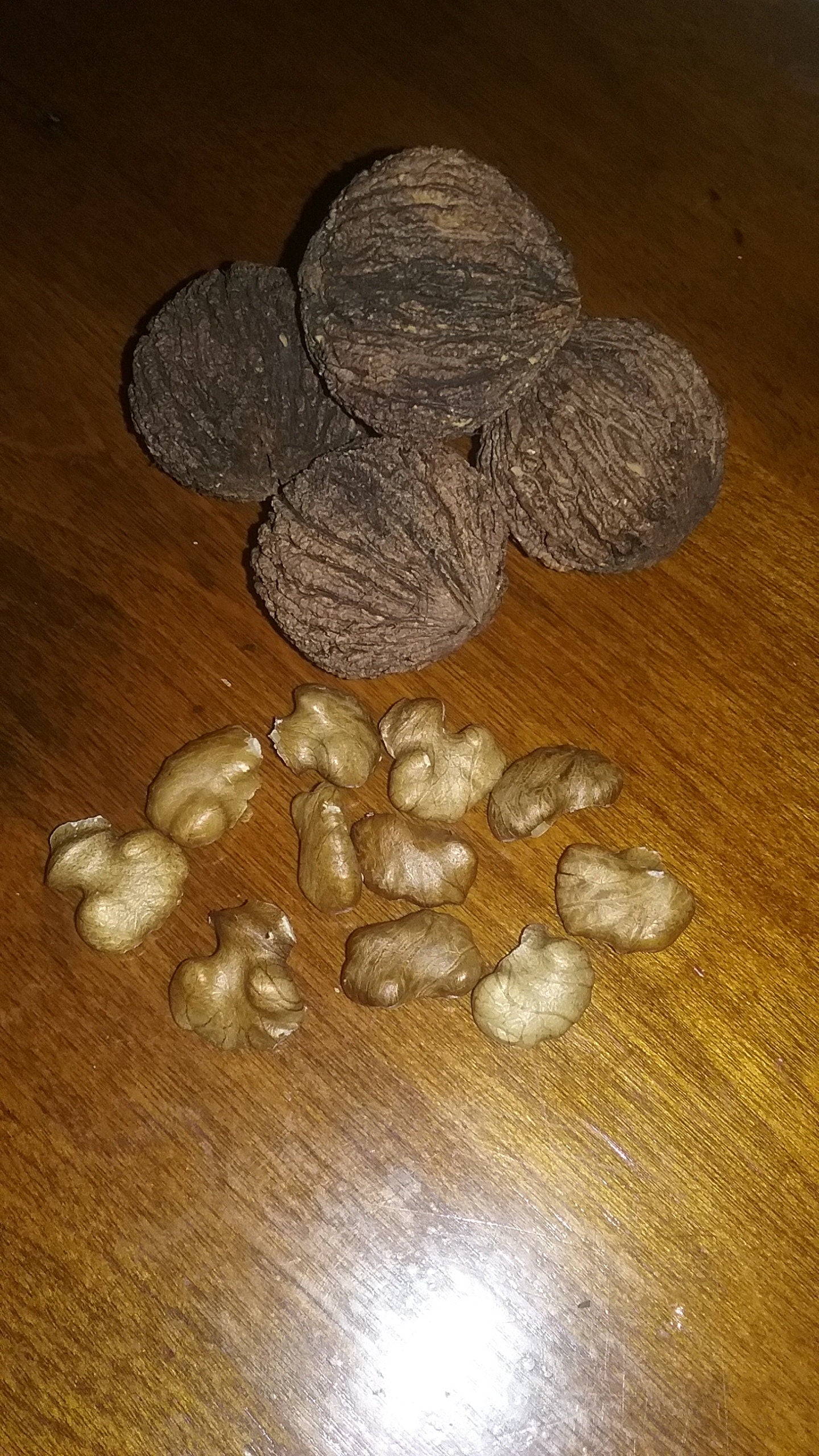 Black Walnuts, Organic Black Walnuts in Shell from Iowa